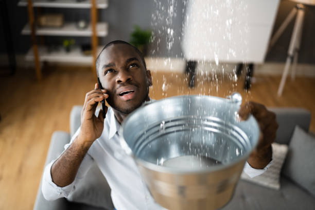 Best Mold removal after water damage  in New Hope, PA