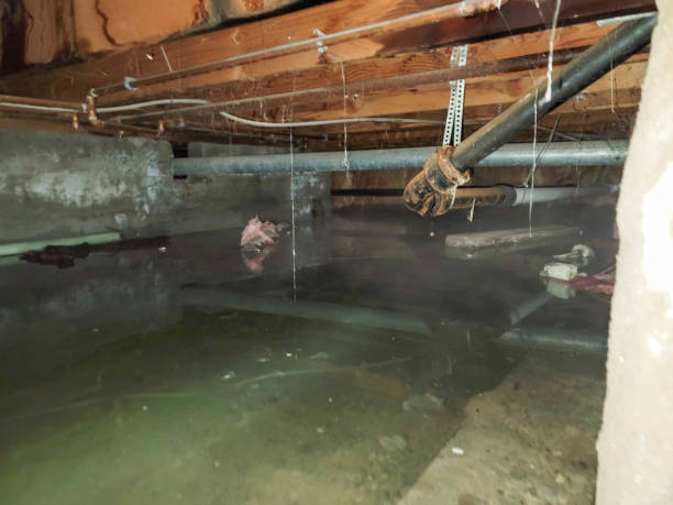 Best Ceiling water damage repair  in New Hope, PA