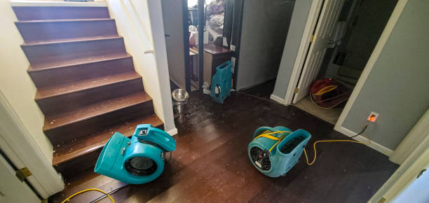 Best Flooded house restoration  in New Hope, PA