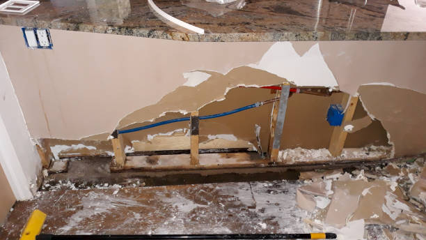 Best Carpet water damage restoration  in New Hope, PA