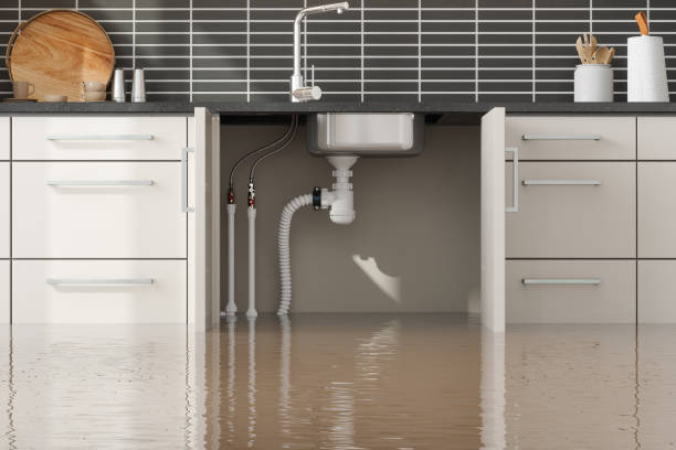 Best Basement water damage restoration  in New Hope, PA