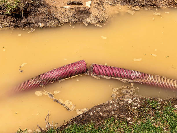 Best Water damage restoration near me  in New Hope, PA